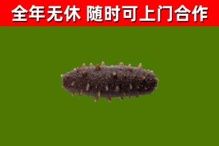 湖里区烟酒回收干海参.jpg